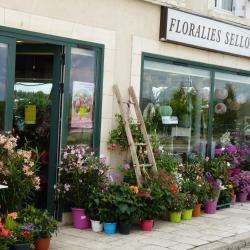 Fleuriste FLORALIES SELLOISES - 1 - 