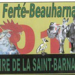 Foire De La Saint Barnabé