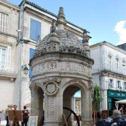 Site touristique fontaine du pilori - 1 - Place De La Fontaine Du Pilori - 