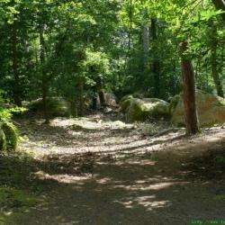 Site touristique Forêt de Fontainebleau - 1 - 