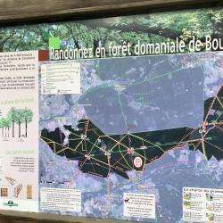 Forêt Domaniale De Boulogne Chambord