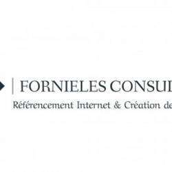 Autre Fornieles Consulting - 1 - 