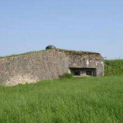 Fort De Schoenenbourg Hunspach
