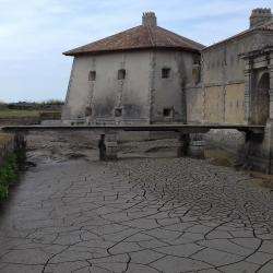 Fort Lupin Saint Nazaire Sur Charente