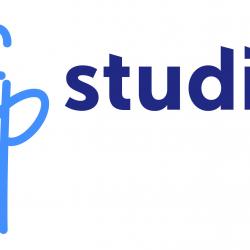 Art et artisanat FPSTUDIO - 1 - Logo Agence Web Fpstudio - 