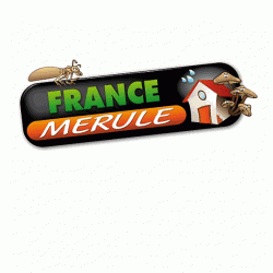 France Merule