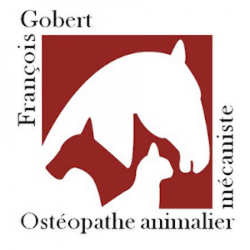 Ostéopathe François Gobert - 1 - 