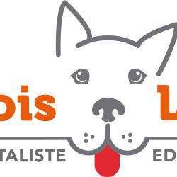 Dressage François Lesec - Educateur canin - 1 - éducateur Et Comportementaliste Canin - 