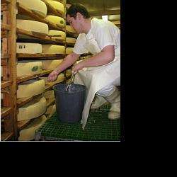 Fromagerie Fromagerie des rebelles - 1 - 