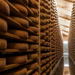Fromagerie Fromageries Vagne Site d'Affinage - 1 - 