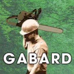 Toiture Gabard - 1 - 