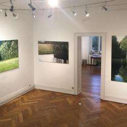 Musée Galerie Bertrand Gillig - 1 - 