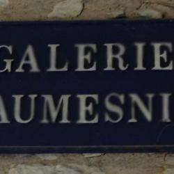 Galerie Daumesnil Périgueux