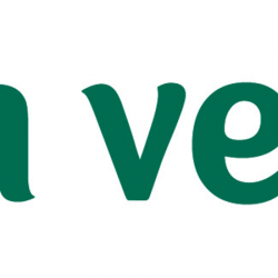 Gamm Vert Anvin