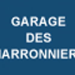 Garage Des Marronniers Saint Maur Des Fossés