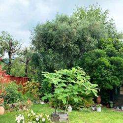 Garden Art Provence Vence