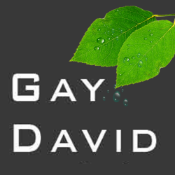 Gay David Mercuer