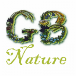 Gb Nature Boiry Becquerelle