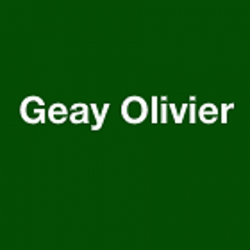 Ostéopathe Geay Olivier - 1 - 