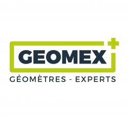 Diagnostic immobilier GEOMEX - 1 - Le Logo Des Géomètres-experts En Alsace, Geomex. - 