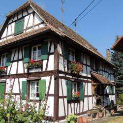  Gîte Rural La Maison Alsacienne  Ohnenheim