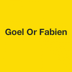 Dépannage Electroménager Goel Or Fabien - 1 - 