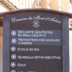 Golf Golf Du Mont D'arbois - 1 - 