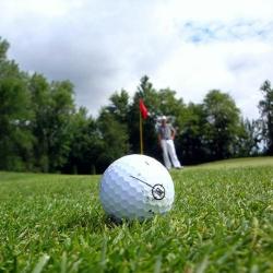 Golf N Swing - Clubs De Golf Sur Mesure - Yvelines Le Pecq