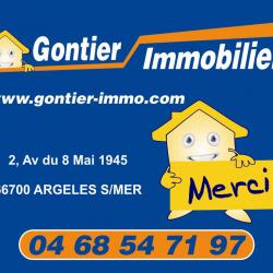 Agence immobilière Gontier Immobilier - 1 - 