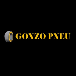 Dépannage GONZO PNEU - 1 - 