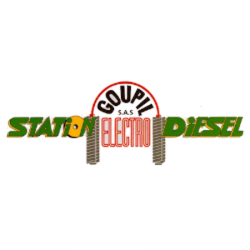 Goupil Electro Diesel Tours