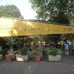 Restaurant brasserie restaurant bar le malarte - 1 - Terrasse - 