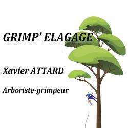 Grimp'elagage (chrysalide) Langrolay Sur Rance