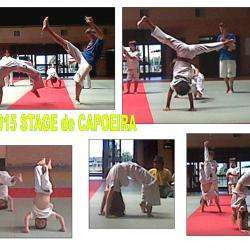 Cours et formations groupe de capoeira Filhos de Bamba - 1 - 