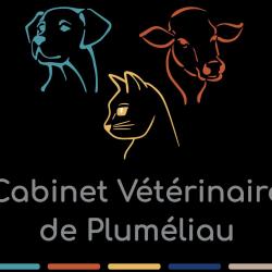 Vétérinaire GSAB - Cabinet Vétérinaire de Pluméliau - 1 - Logo - 