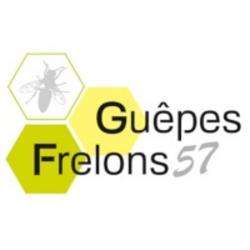 Guêpes Frelons57 Bouzonville