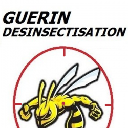Désinsectisation et Dératisation Guerin Désinsectisation Guêpes Frelons - 1 - 