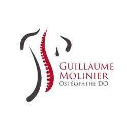 Ostéopathe Guillaume Molinier Ostéopathe - 1 - 