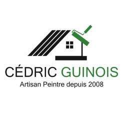 Guinois Cédric Châteaudun