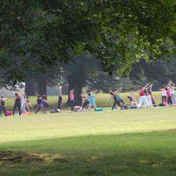 Yoga H A P P Y O G A - 1 - En Cas De Beau Temps, Cours De Yoga Exceptionnels à Dans Le Parc De Rentilly, Juillet 2013. - 