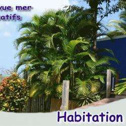 Habitation Pineau Deshaies