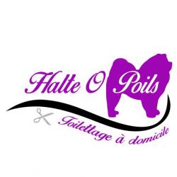 Salon de toilettage Halte O Poils  - 1 - Toiletteur Lyon - 
