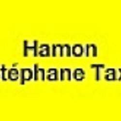 Taxi Hamon Stéphane - 1 - 