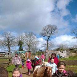 Activité pour enfant Harasdekita  Ferme Equestre Cheval/poney - 1 - 