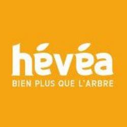 Centres commerciaux et grands magasins Hévéa élagage - 1 - 