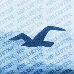 Hollister Co Dijon