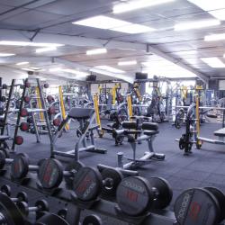 Salle de sport Horizon Fitness Expérience - 1 - 