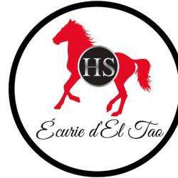 Centre équestre Horse Sale Ecurie D El Tao - 1 - 