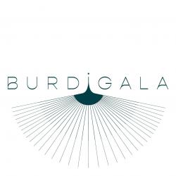 Hôtel et autre hébergement Hôtel Burdigala - 1 - 