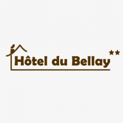 Hôtel et autre hébergement Hotel Du Bellay - 1 - 